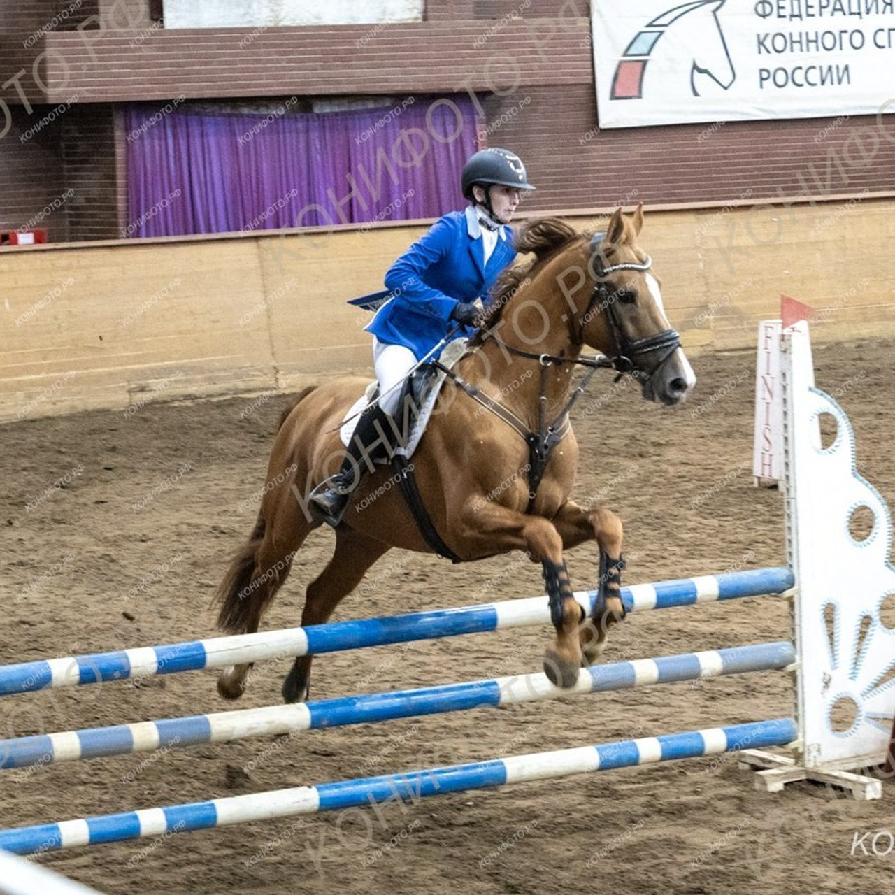 Отзывы. КониФото