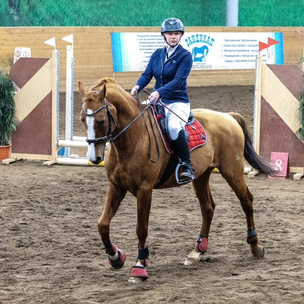 Отзывы. КониФото