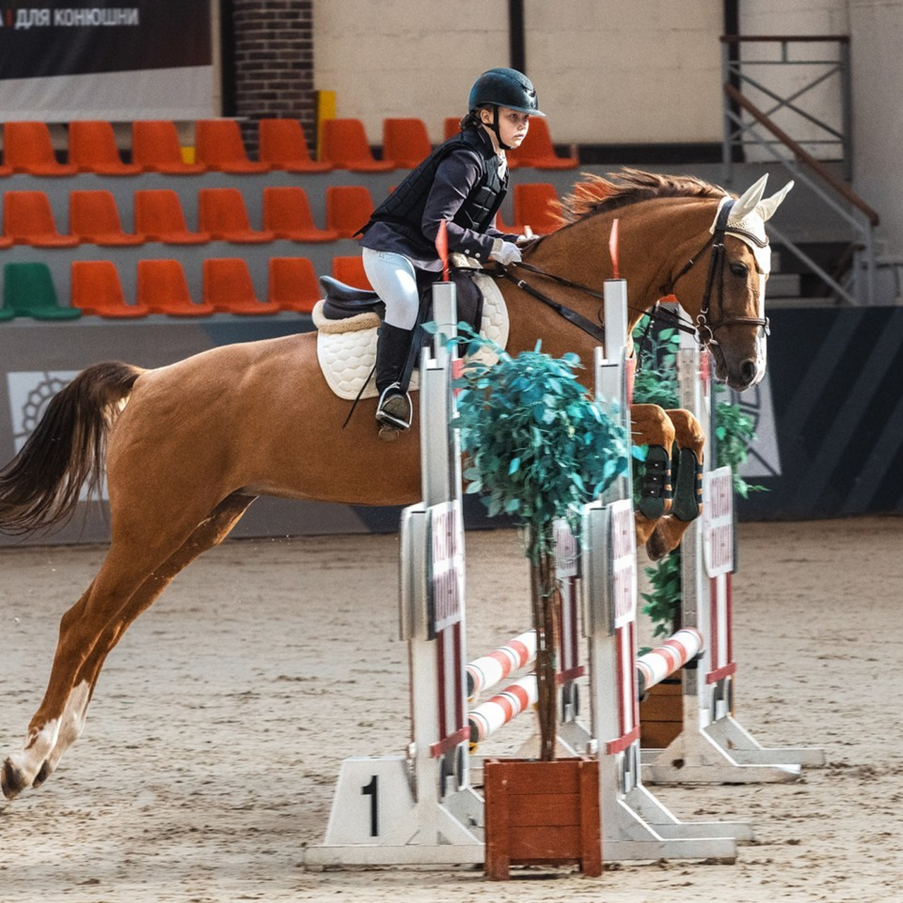 Отзывы. КониФото