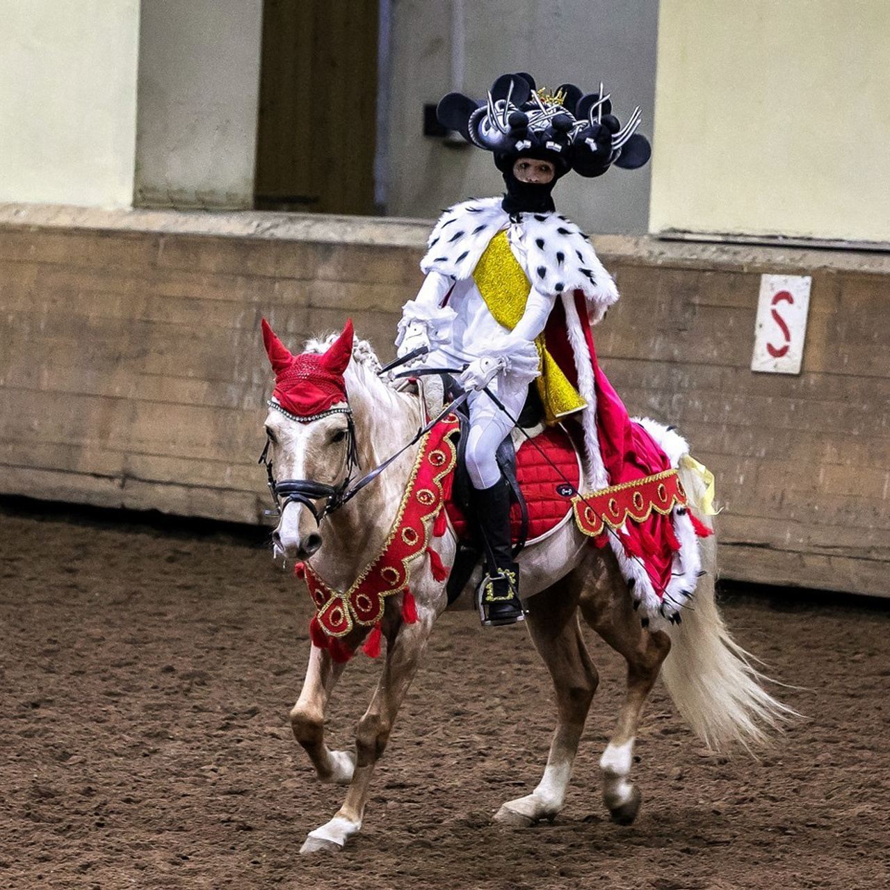 Отзывы. КониФото