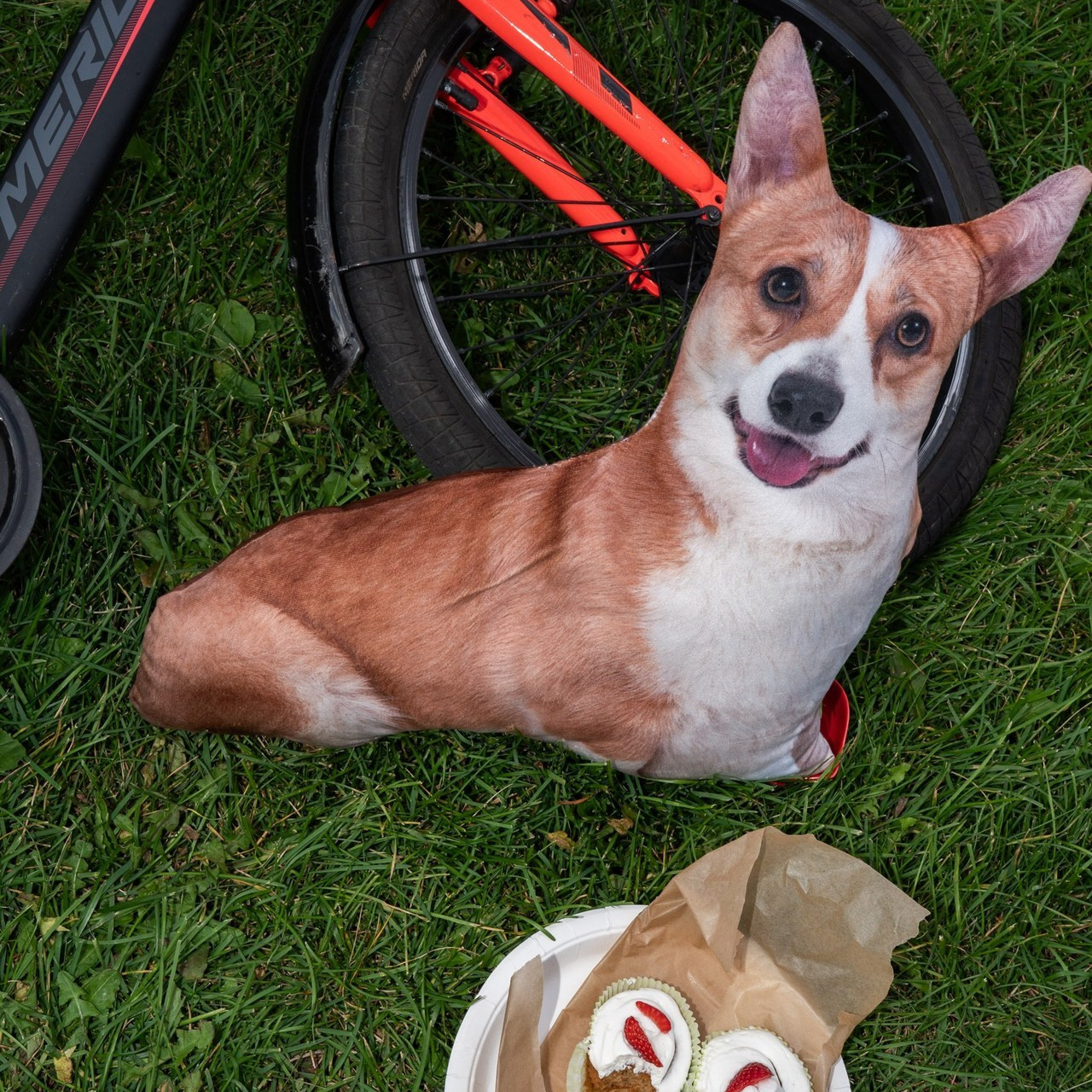 ОТЗЫВЫ. Ekaterinazolotykh.photo