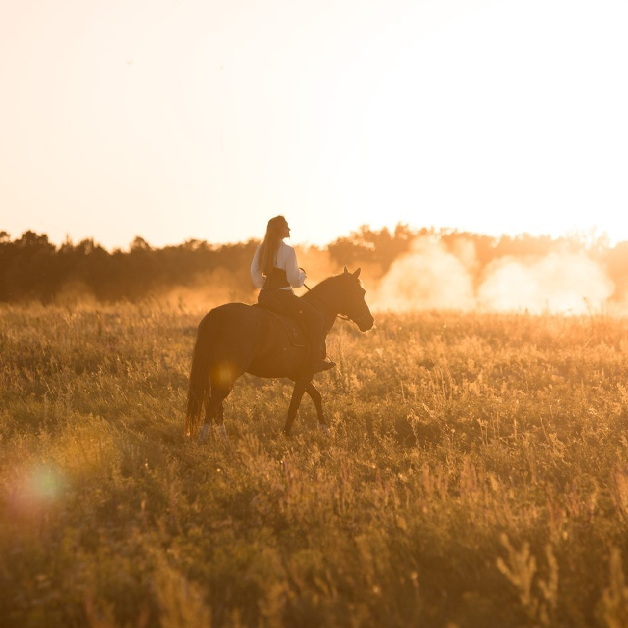 Наталья СОРОКИНА фотограф — ОТЗЫВЫ. Концертный фотограф Наталья Сорокина