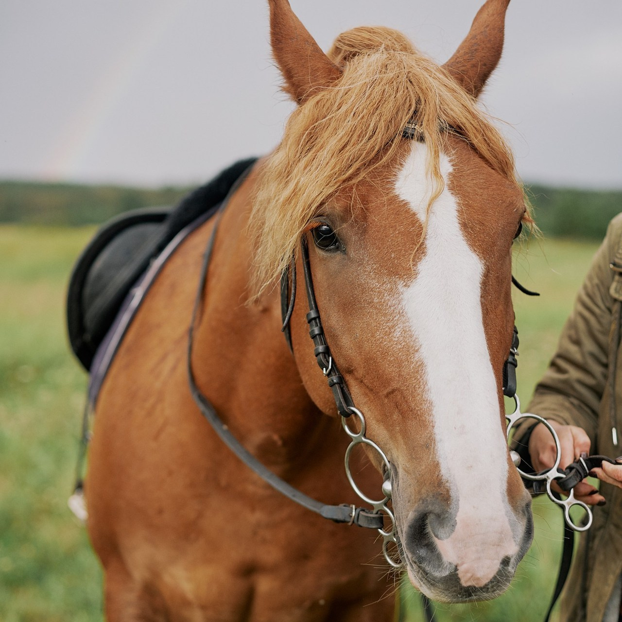 Отзывы. Снежана Чернега фотограф