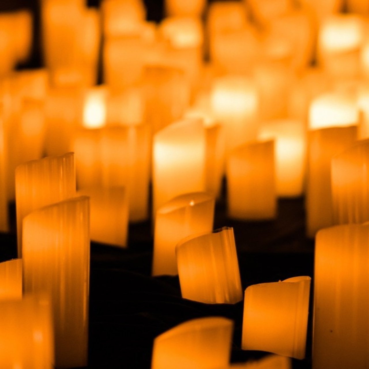 Отзывы. Видеограф Андрей Чугунов