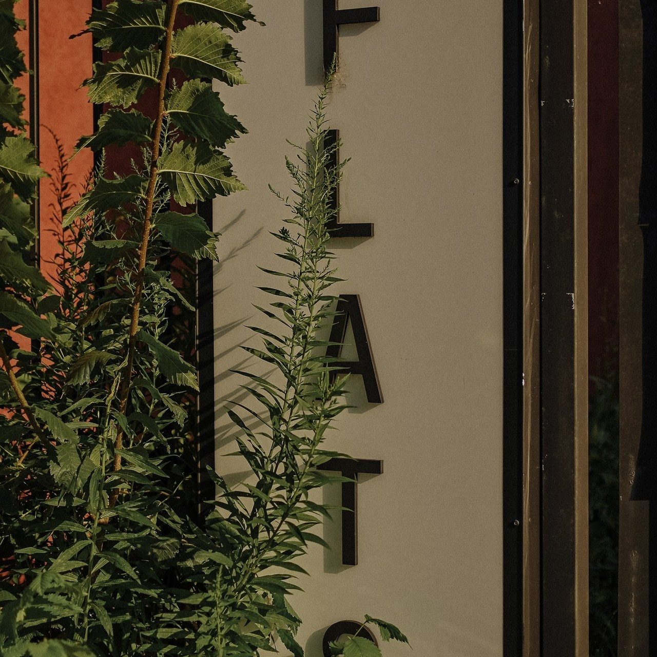 Отзывы. Евгения Черных I Фотограф Пенза