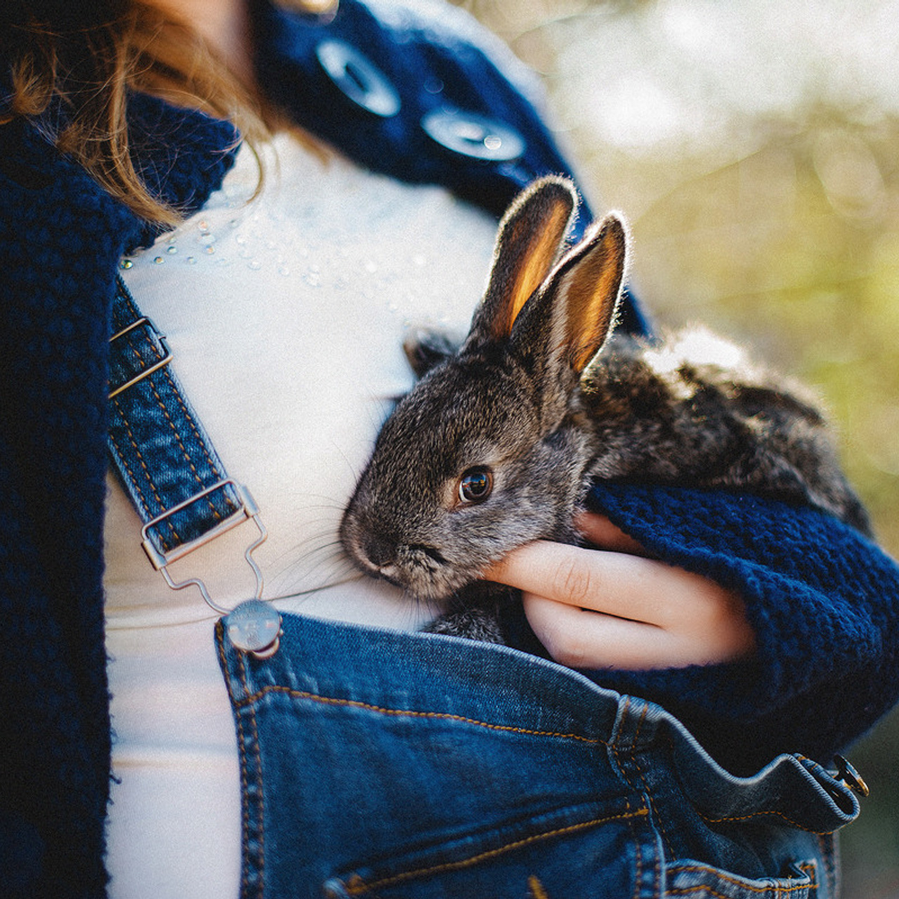 ЛЕНА и СЛАВА