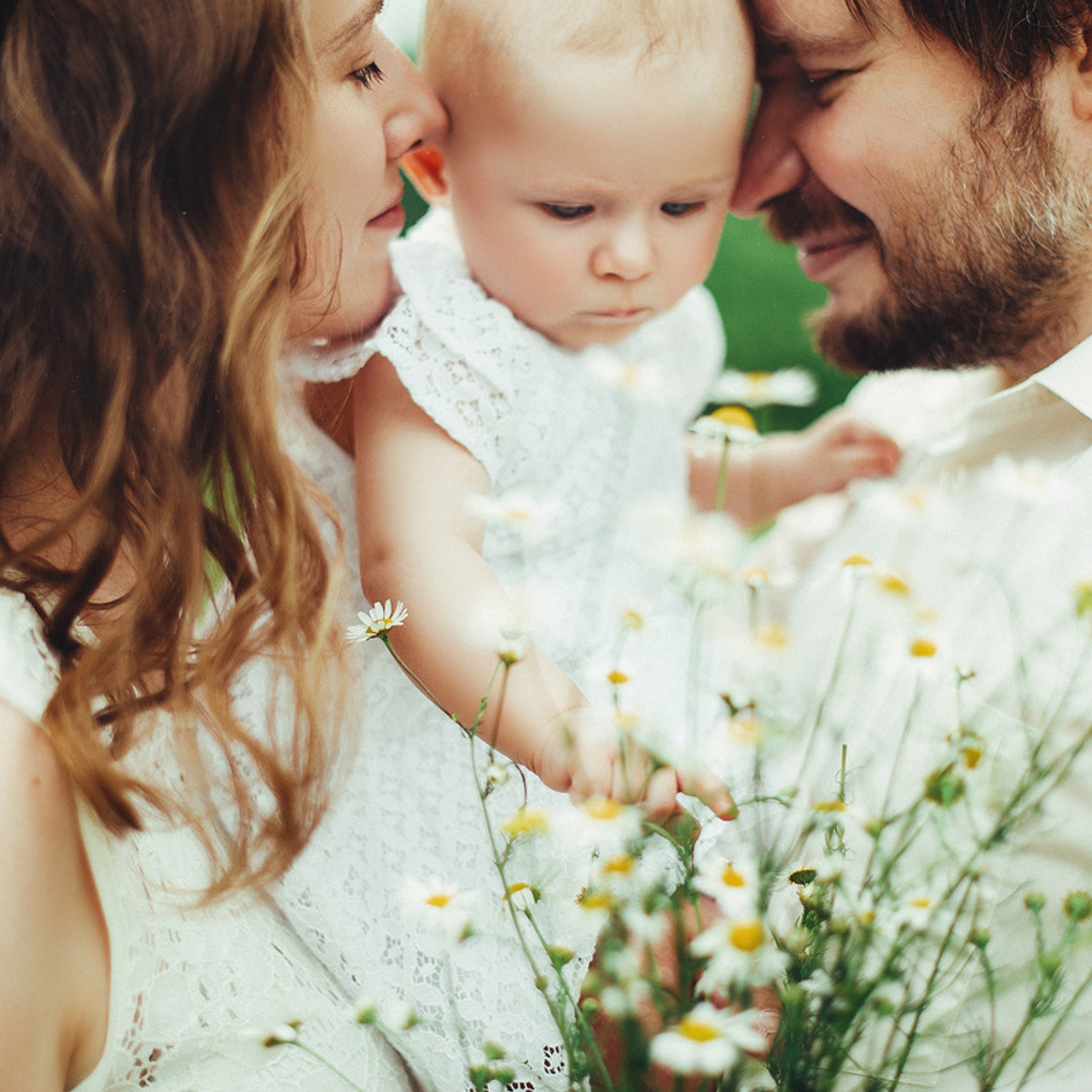 ПРИВЕТ, РОМАШКИ!