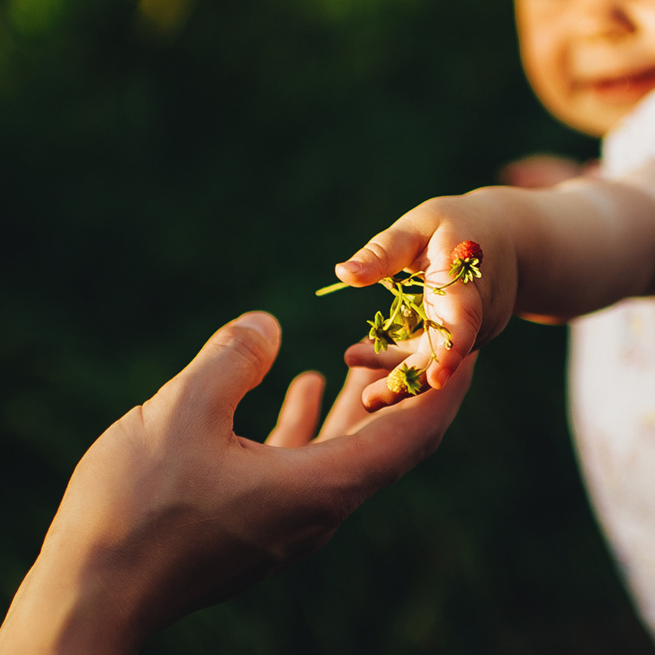 КСЮША, СЕРЁЖА и МИРА