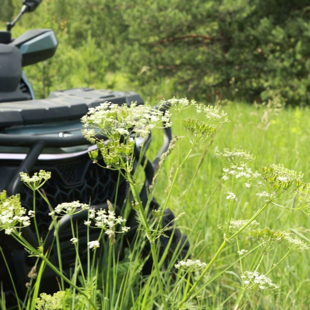 Отзывы. Семейный и детский фотограф Трафимович Ольга Москва и Московская облас