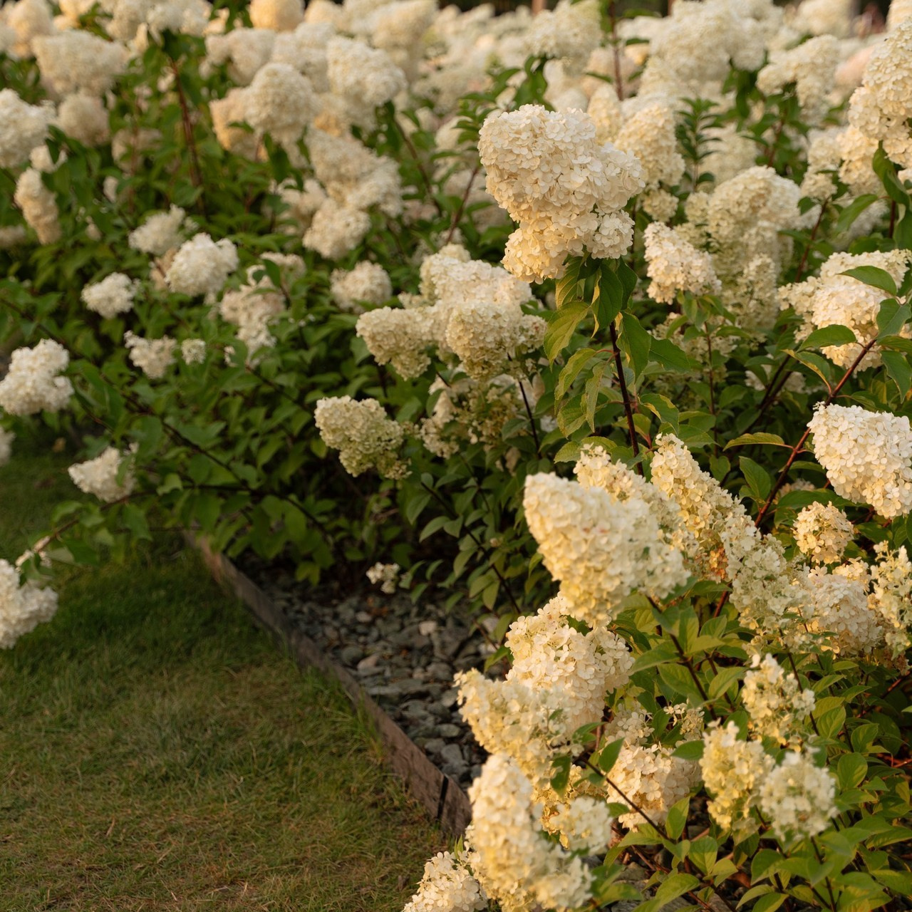 Отзывы. Свадебный фотограф в Краснодаре и Санкт-Петербурге Евгения Алексеева