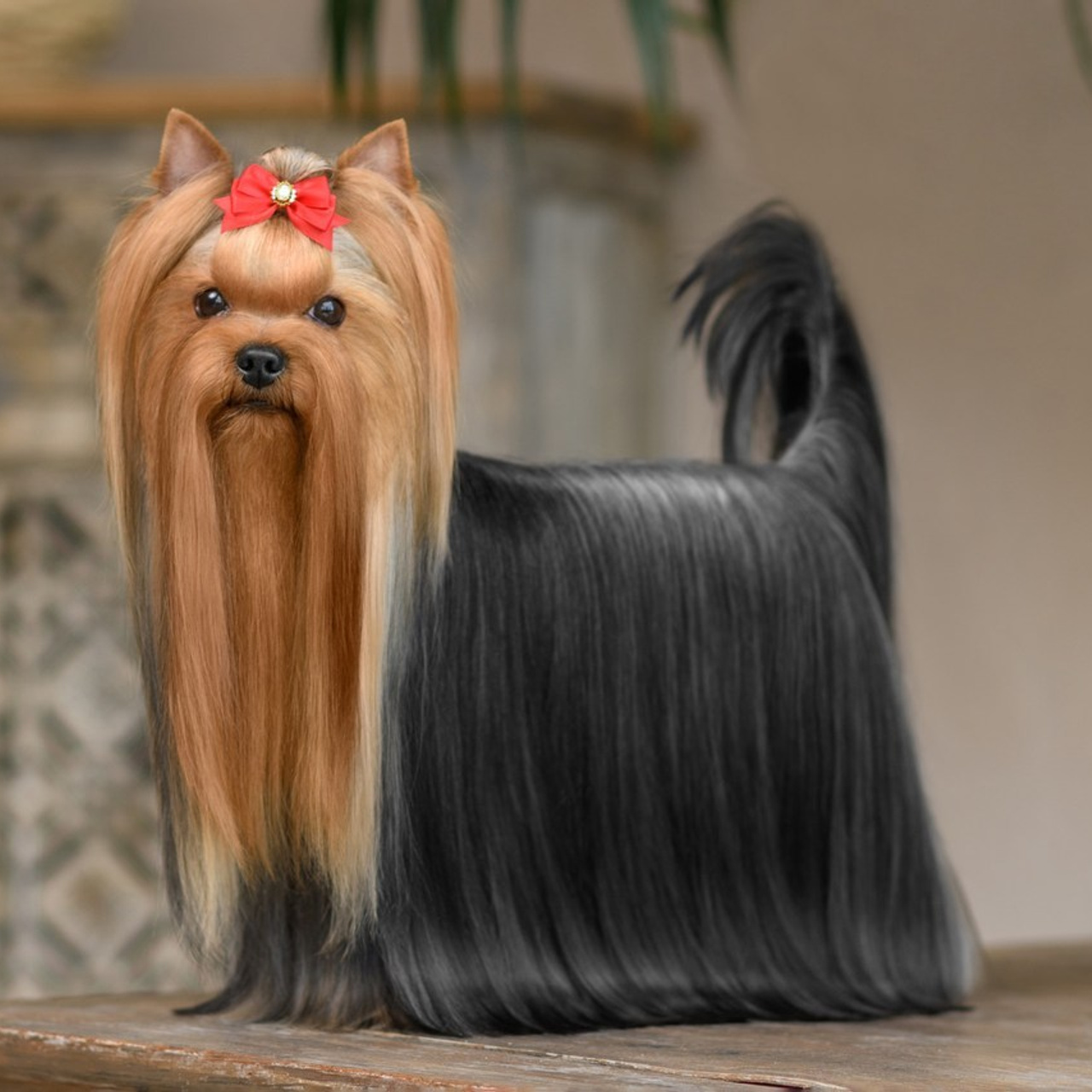 Отзывы о фотографе. Семьи, дети, сады, школы. Фотограф Первенцева Елена. Москва