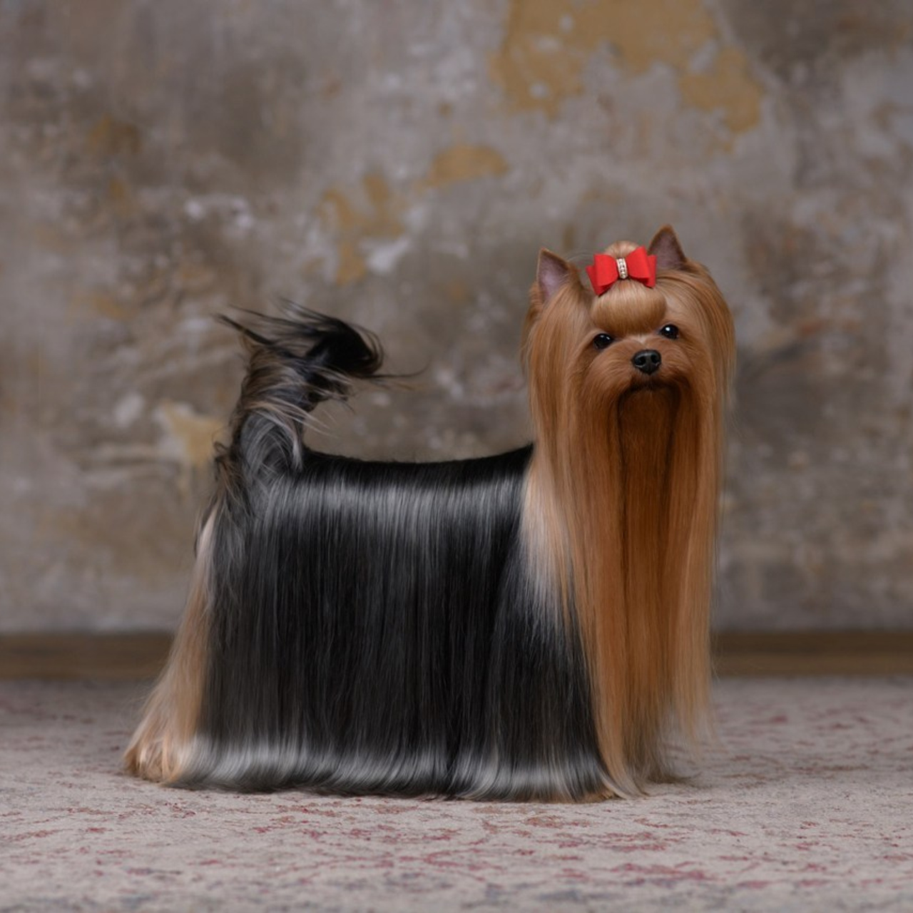 Отзывы о фотографе. Семьи, дети, сады, школы. Фотограф Первенцева Елена. Москва