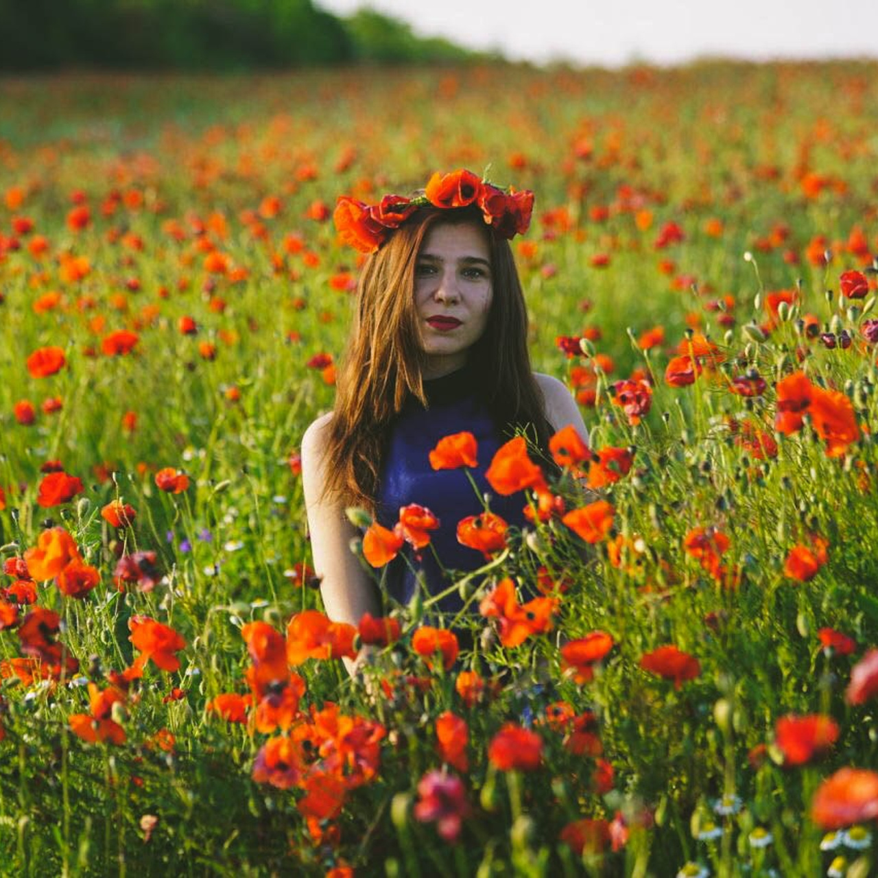 Индивидуальная фотосессия в поле маков — фотограф Виктор Загурский, Крым