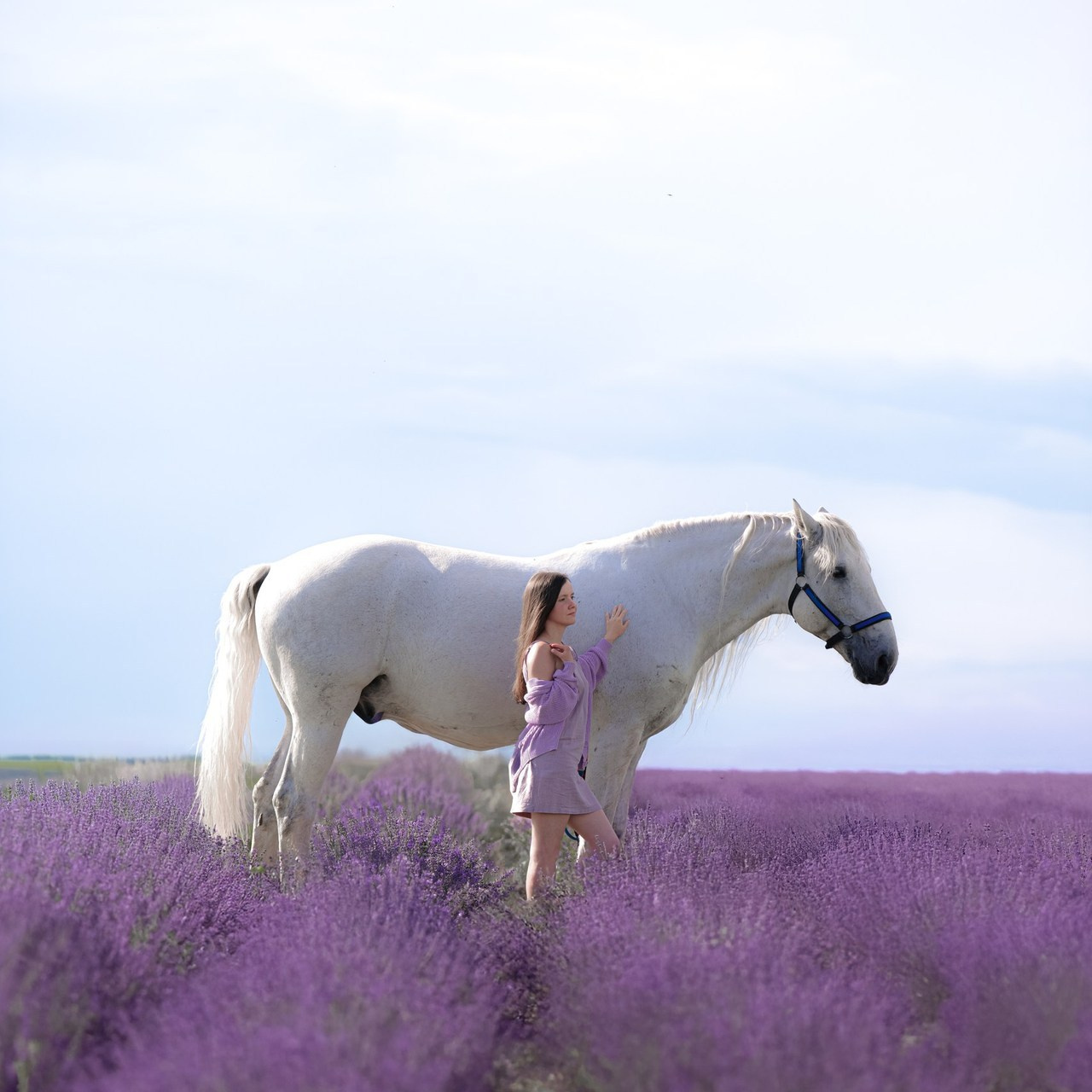 Отзывы. Конный фотограф в Москве — Дарья Алексеева | Премиальные фотосессии с лошадьми