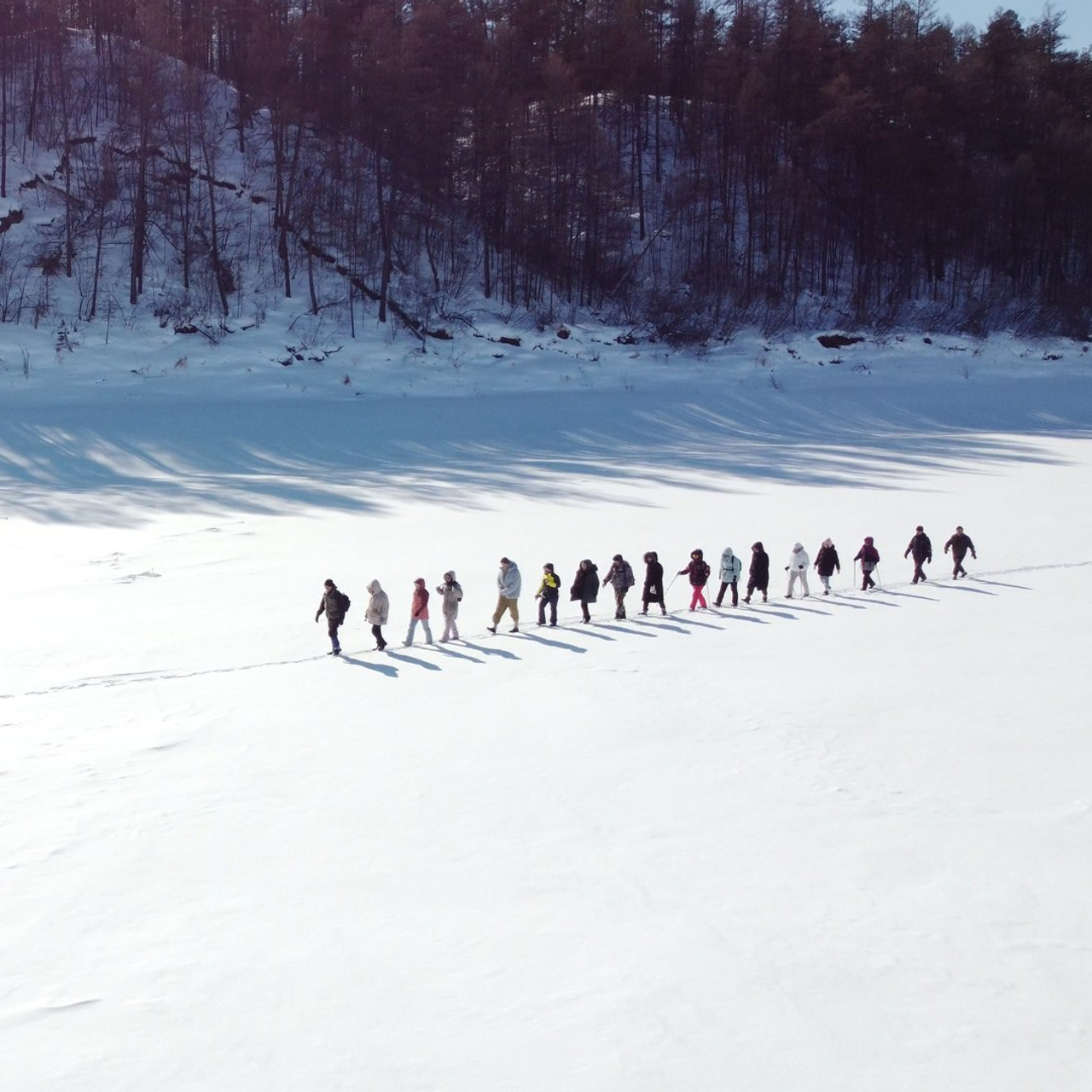 Отзывы. Фотограф Дмитрий ЛЯШЕЕВ
