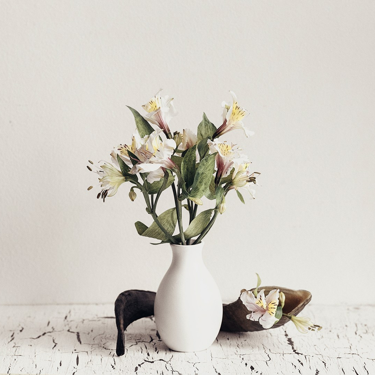 Натюрморт / Still Life. Профессиональный портретный фотограф в Орле Шестопалова Юлия