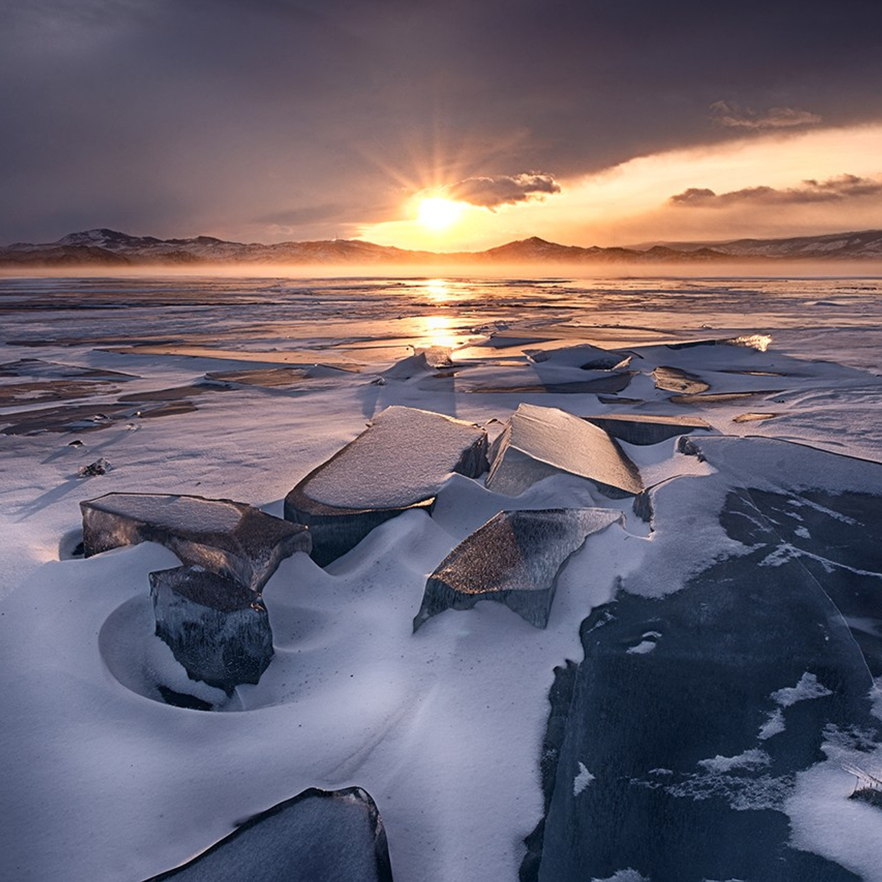 2025, Сербия Exhibition PHOTO WINNER 2025. Профессиональный портретный фотограф в Орле Шестопалова Юлия