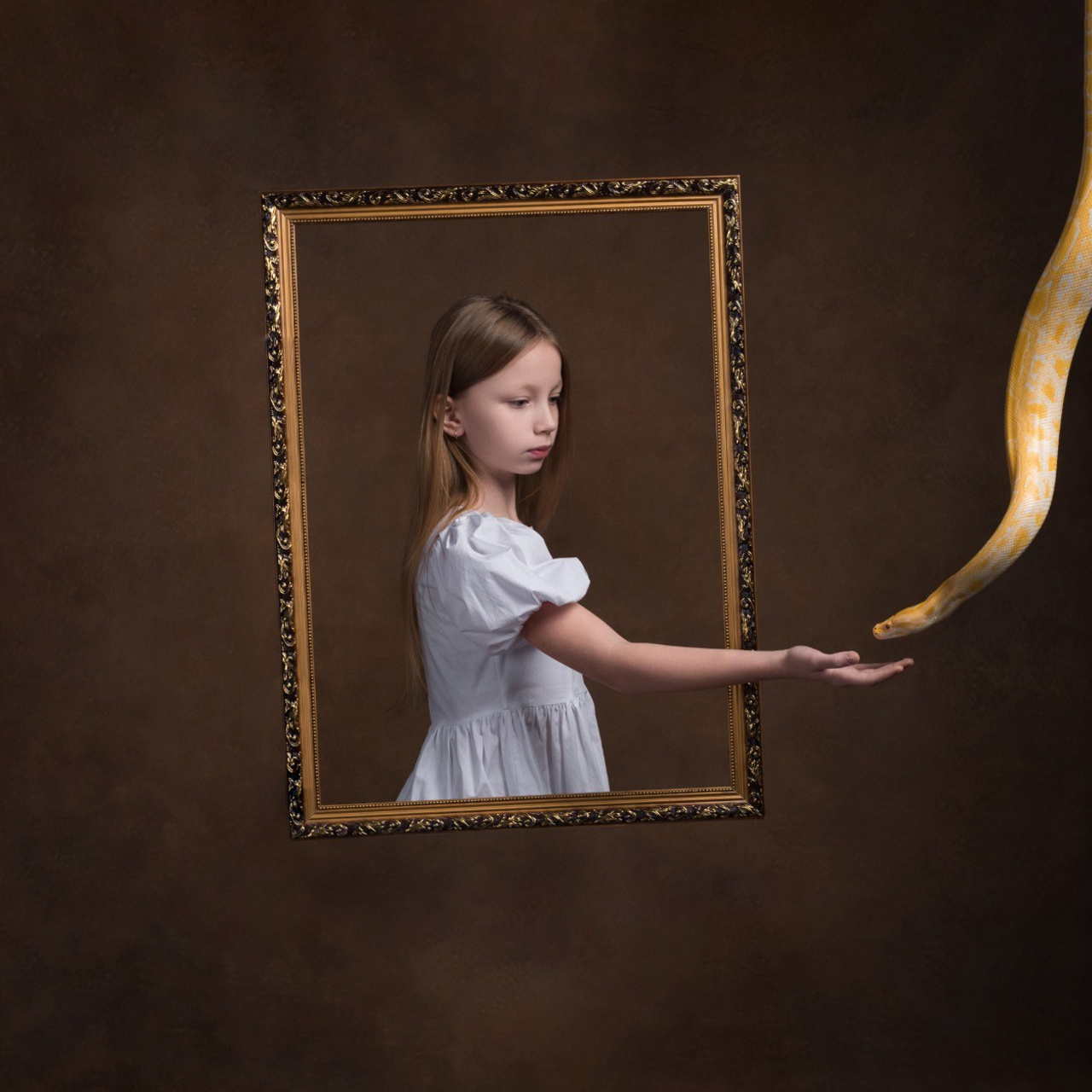 Змеи/питон/удав