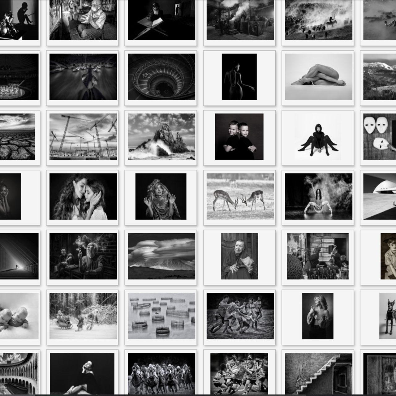 2025, Сербия Exhibition PHOTO WINNER 2025. Профессиональный портретный фотограф в Орле Шестопалова Юлия