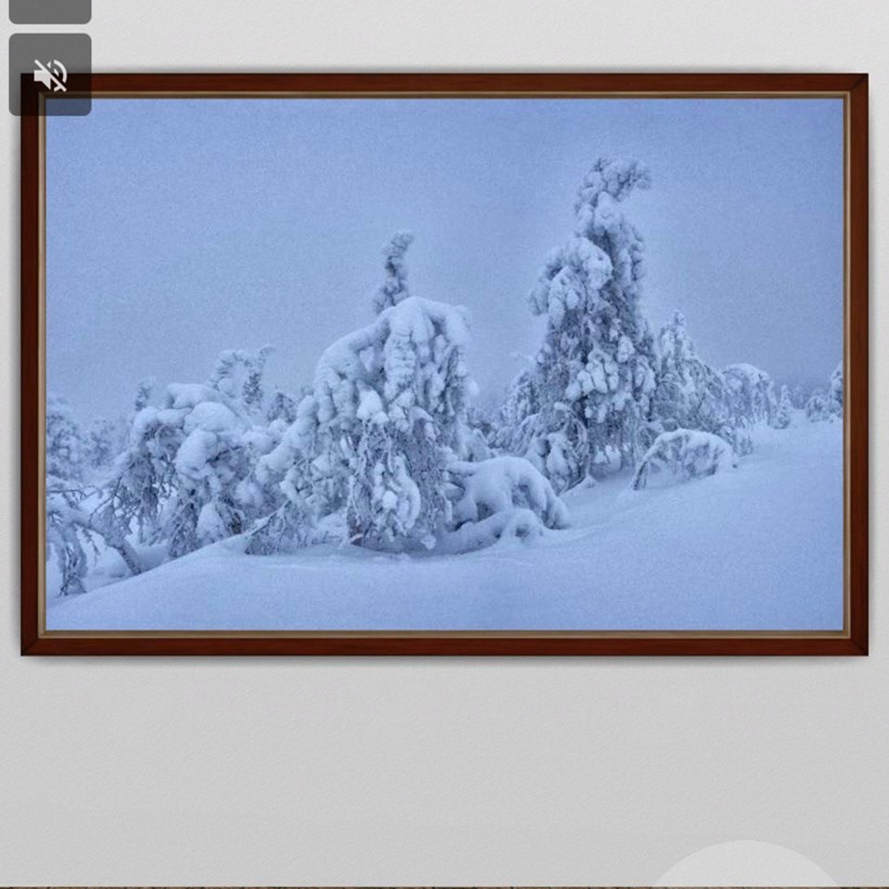 Виртуальная фотовыставка лучших работ по&nbsp;итогам областного фотоконкурса «Орловский взгляд» 2026