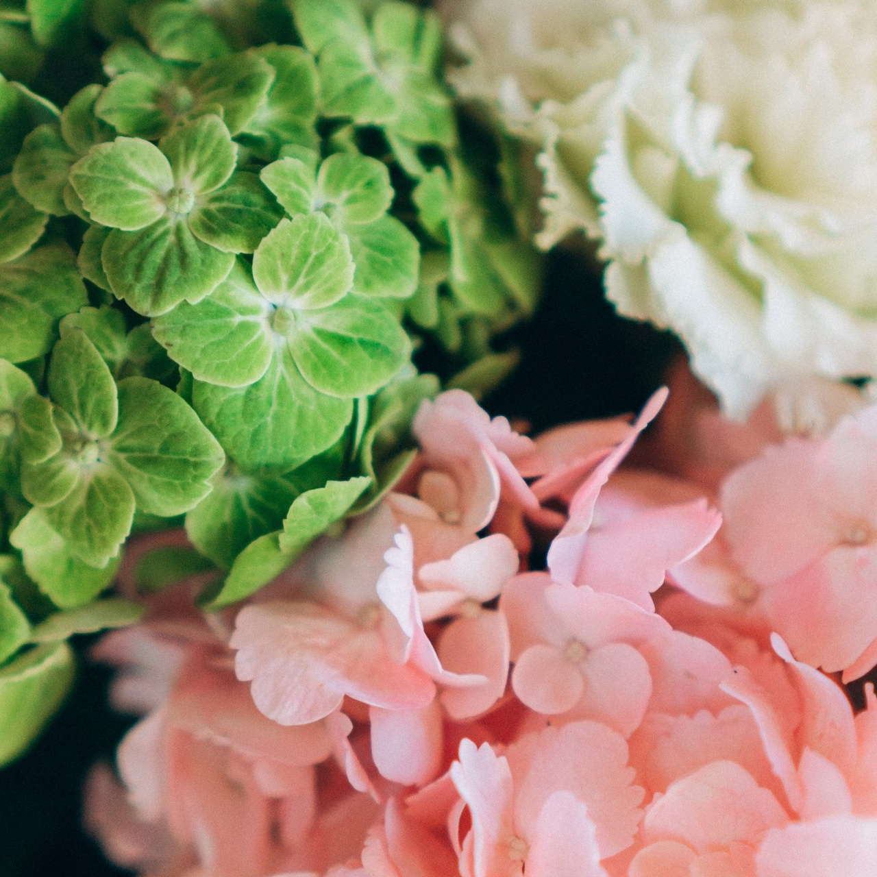 Отзывы. Обо мне