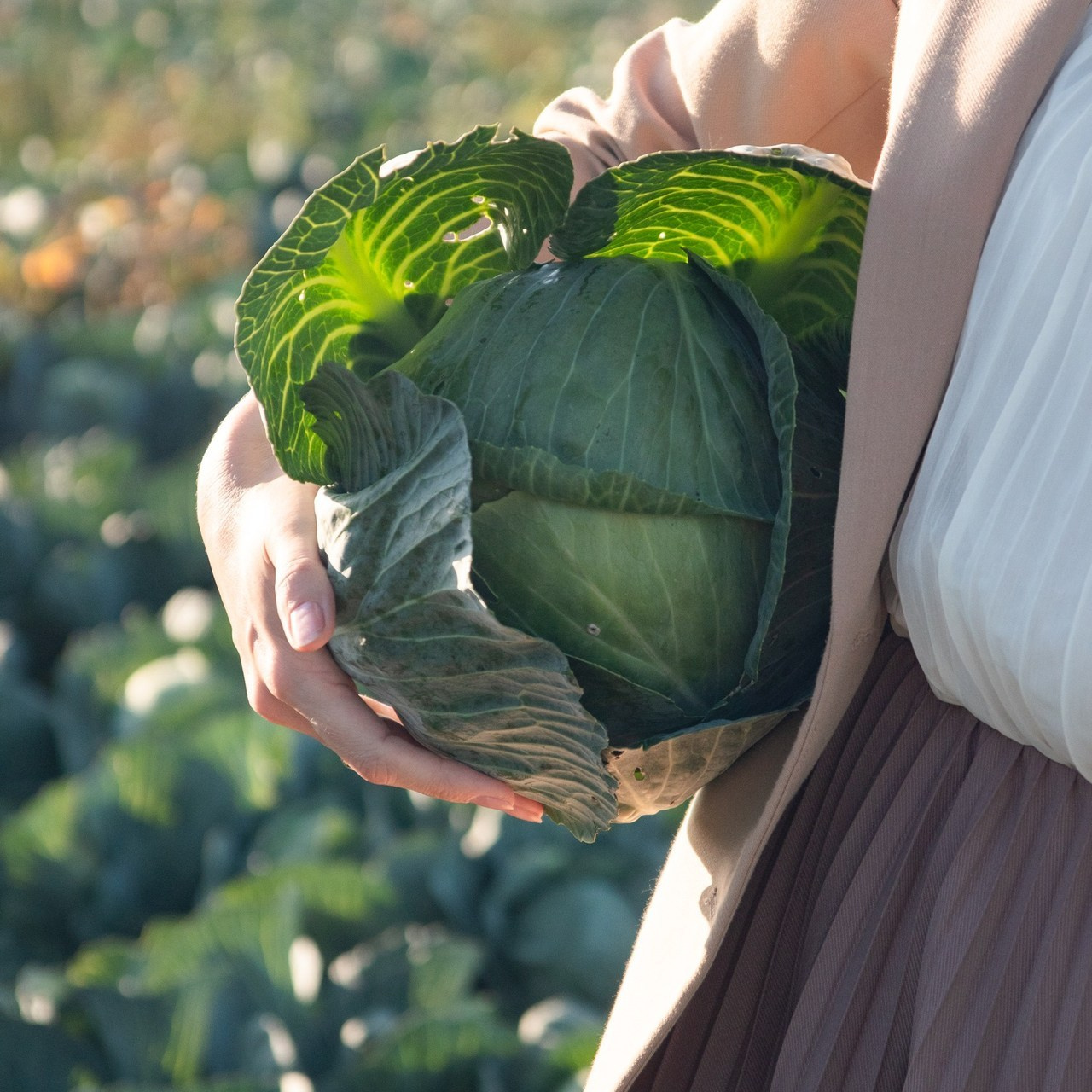 Отзывы. Портретный фотограф в Санкт-Петербурге Савельева Ольга