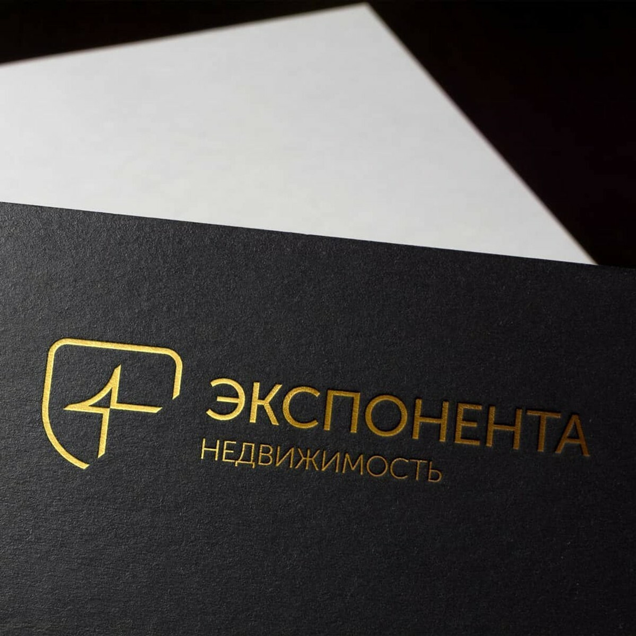 Андрей Заботин. Разработка логотипов