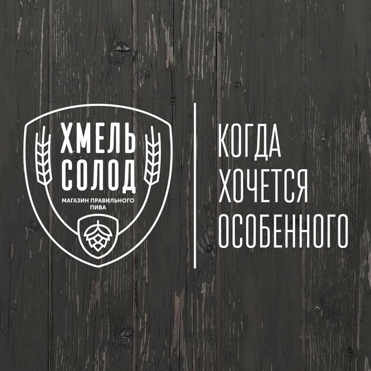 Андрей Заботин. Разработка логотипов