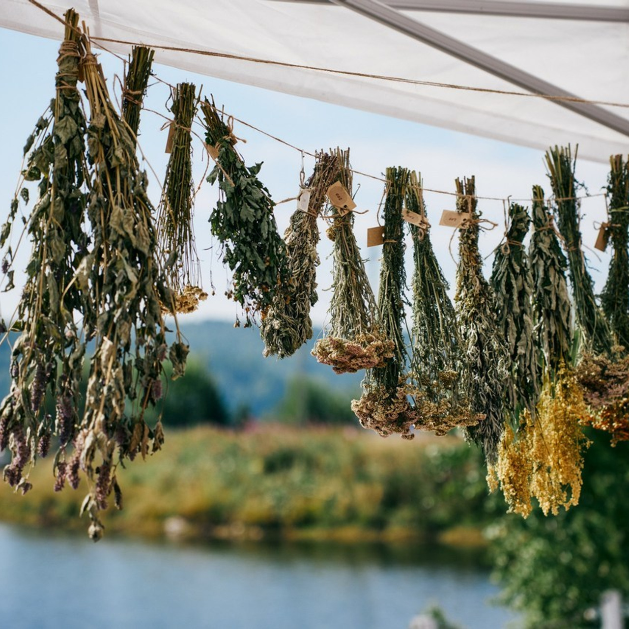 Отзывы. Фотограф Татьяна Ступина Иркутск