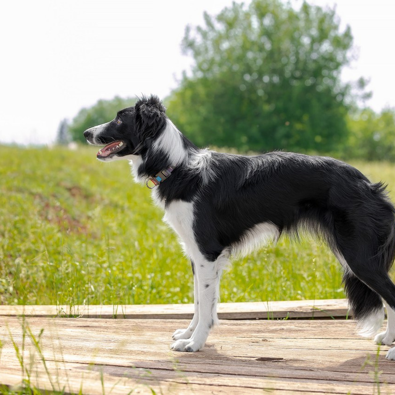 Отзывы. Htykk_photo