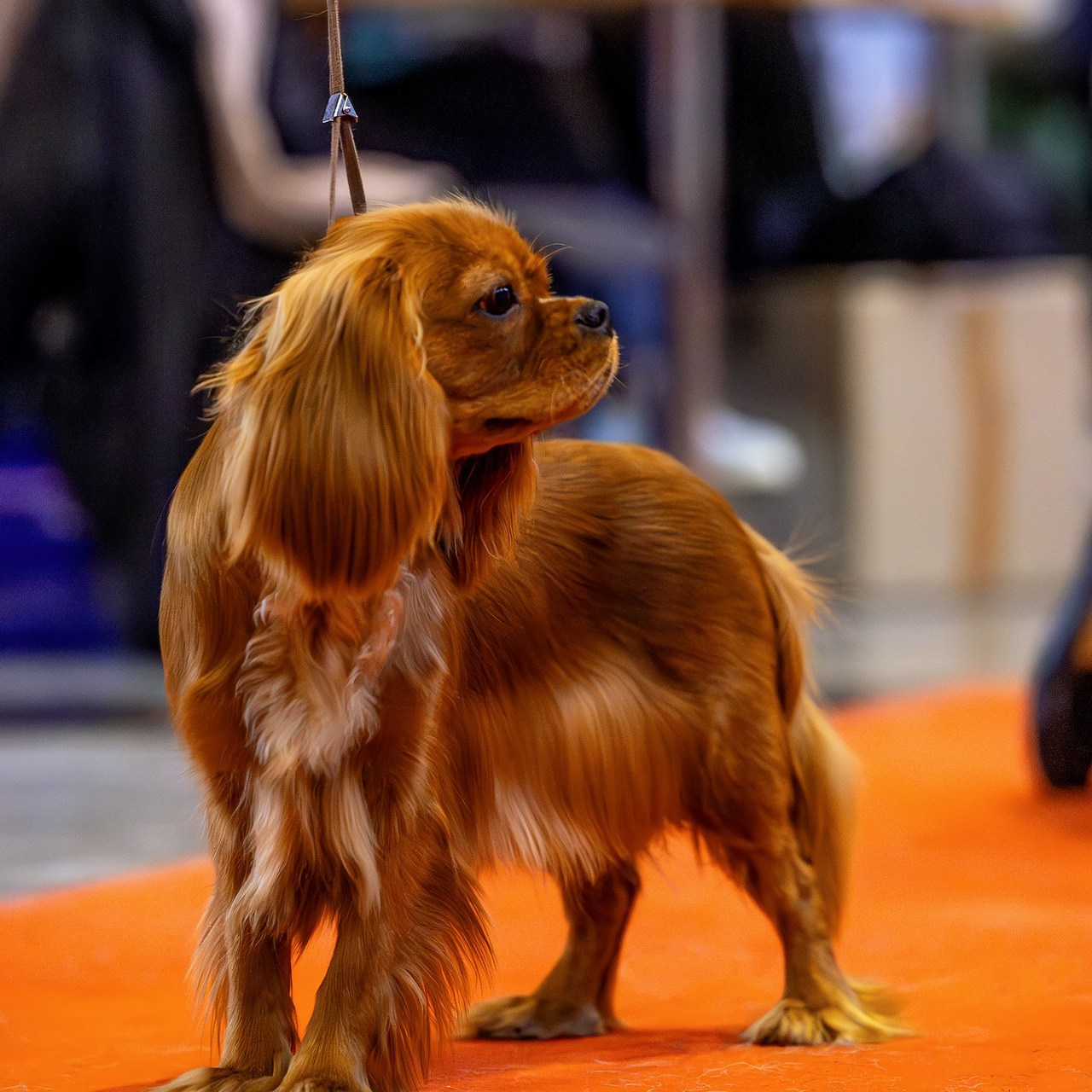 Отзывы. Htykk_photo