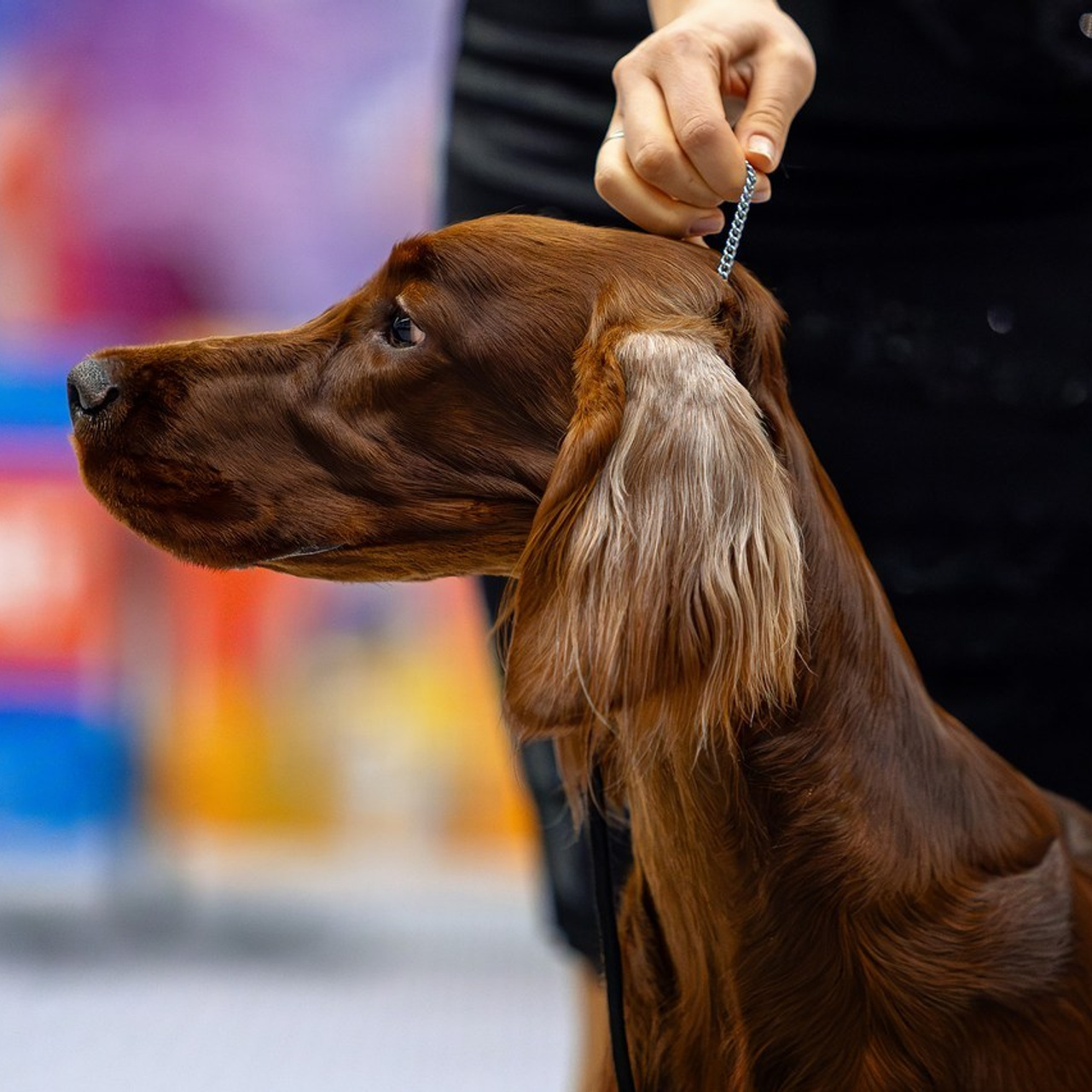 Отзывы. Htykk_photo