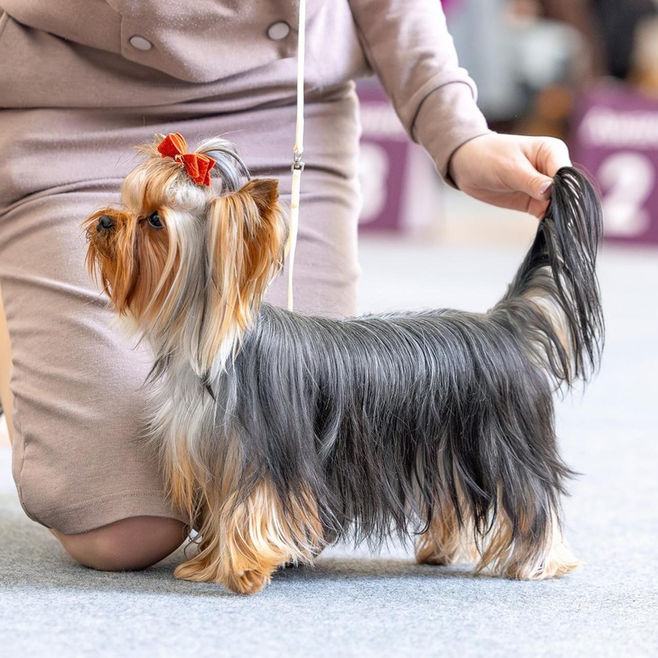 Отзывы. Htykk_photo