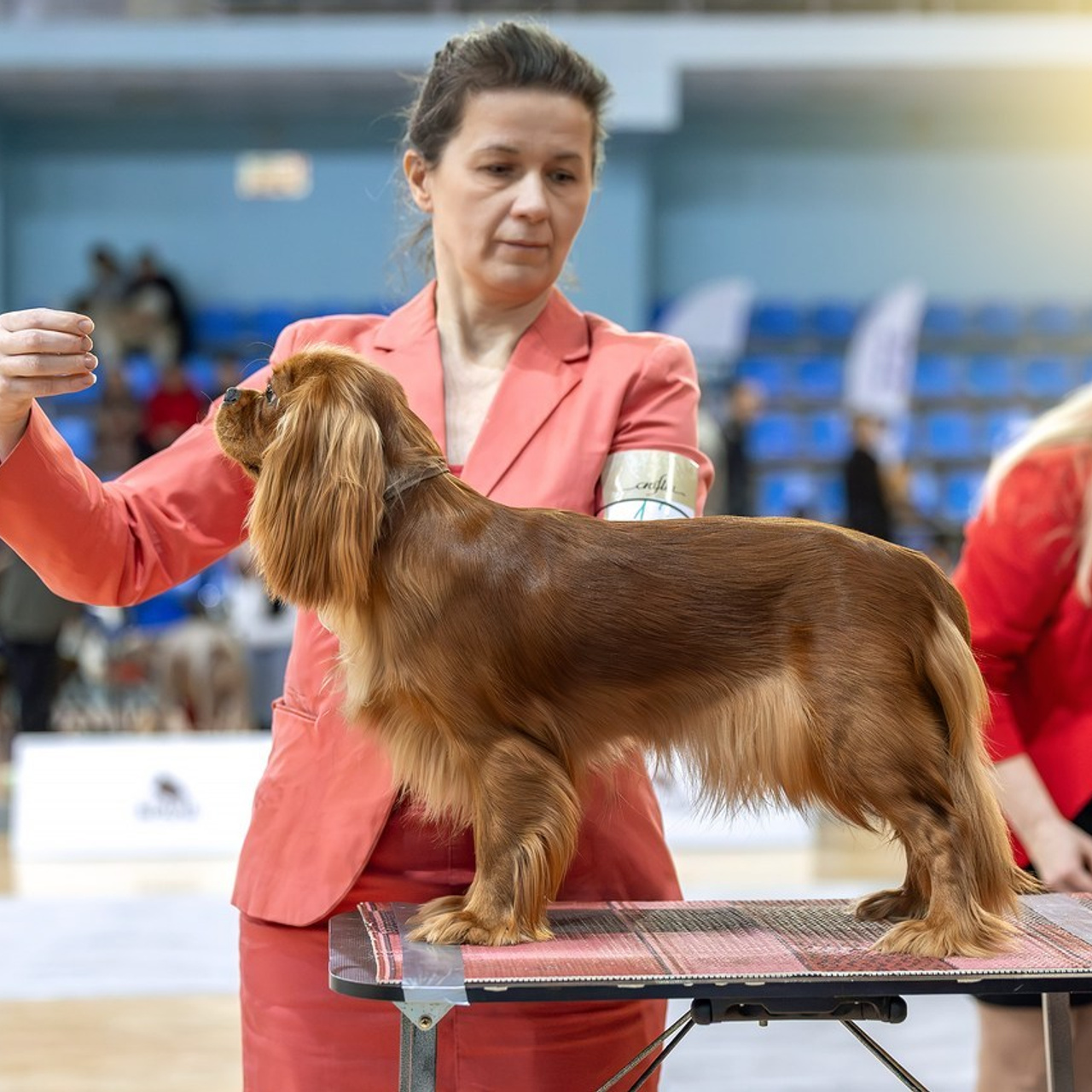 Отзывы. Htykk_photo