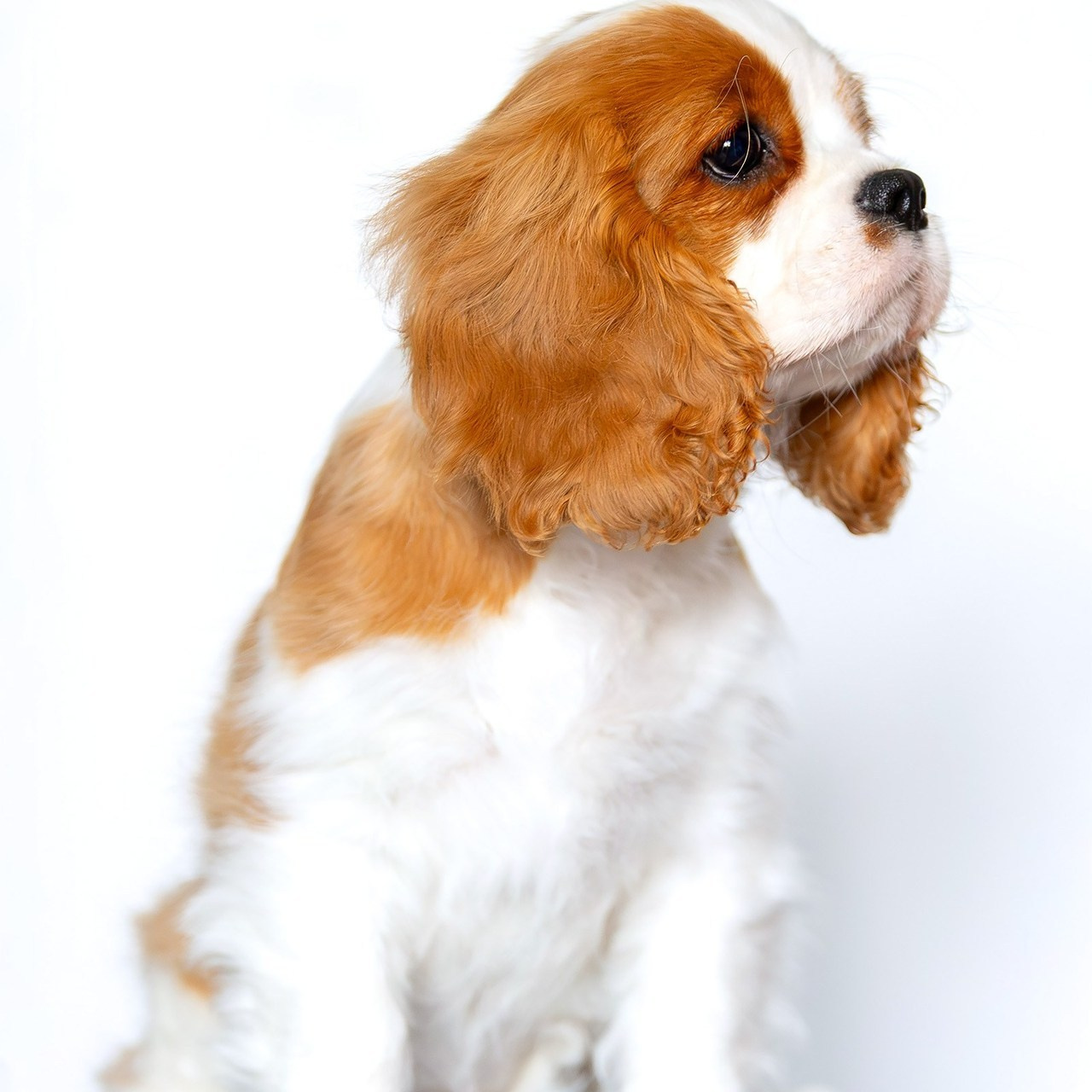 Отзывы. Htykk_photo