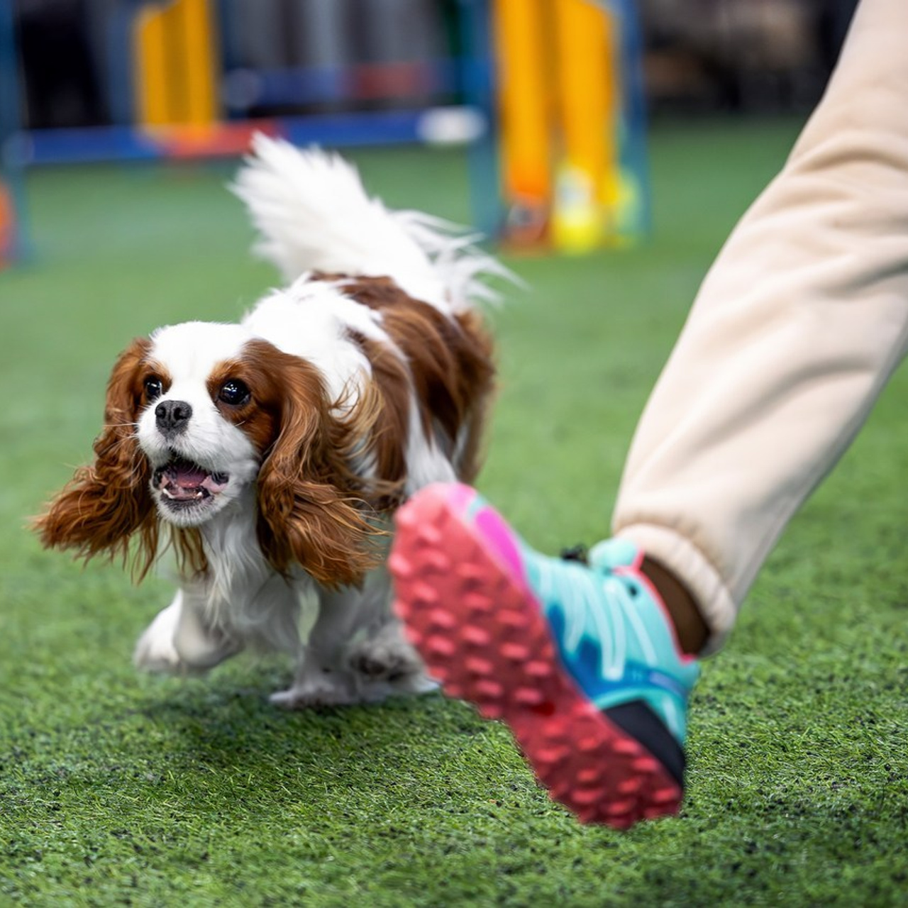 Отзывы. Htykk_photo