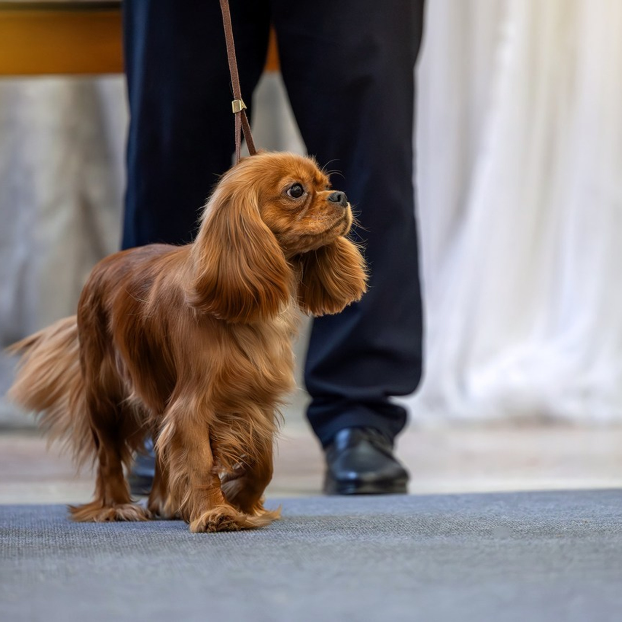 Отзывы. Htykk_photo