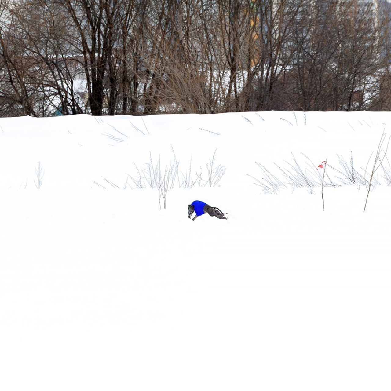 Отзывы. Htykk_photo