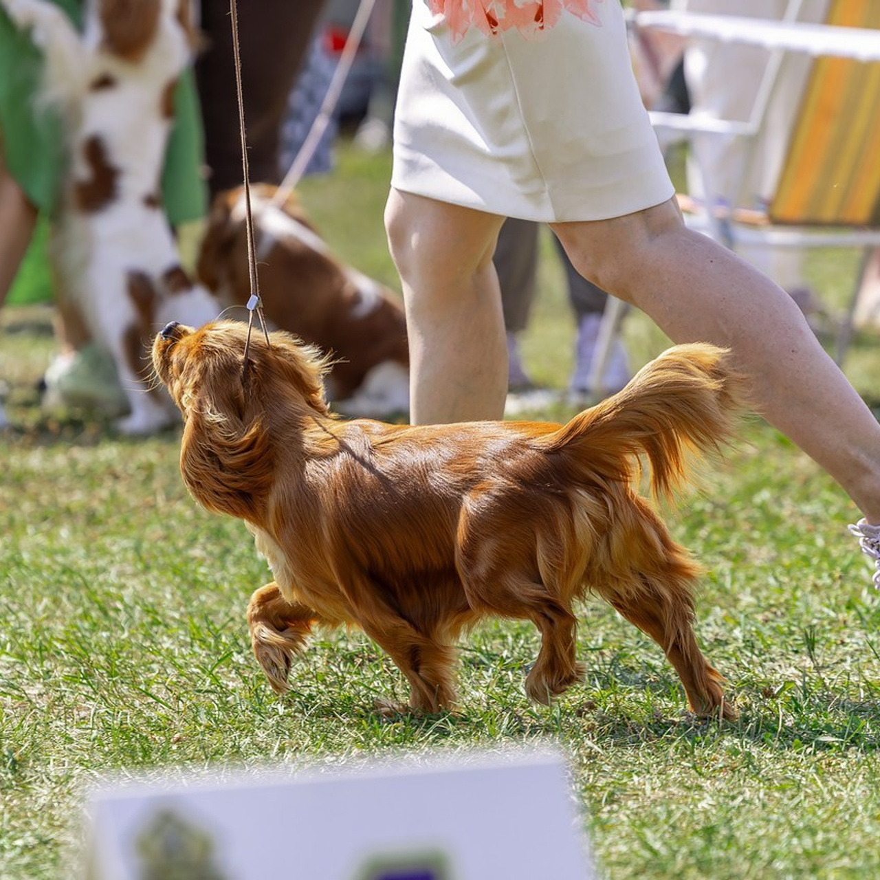 Отзывы. Htykk_photo