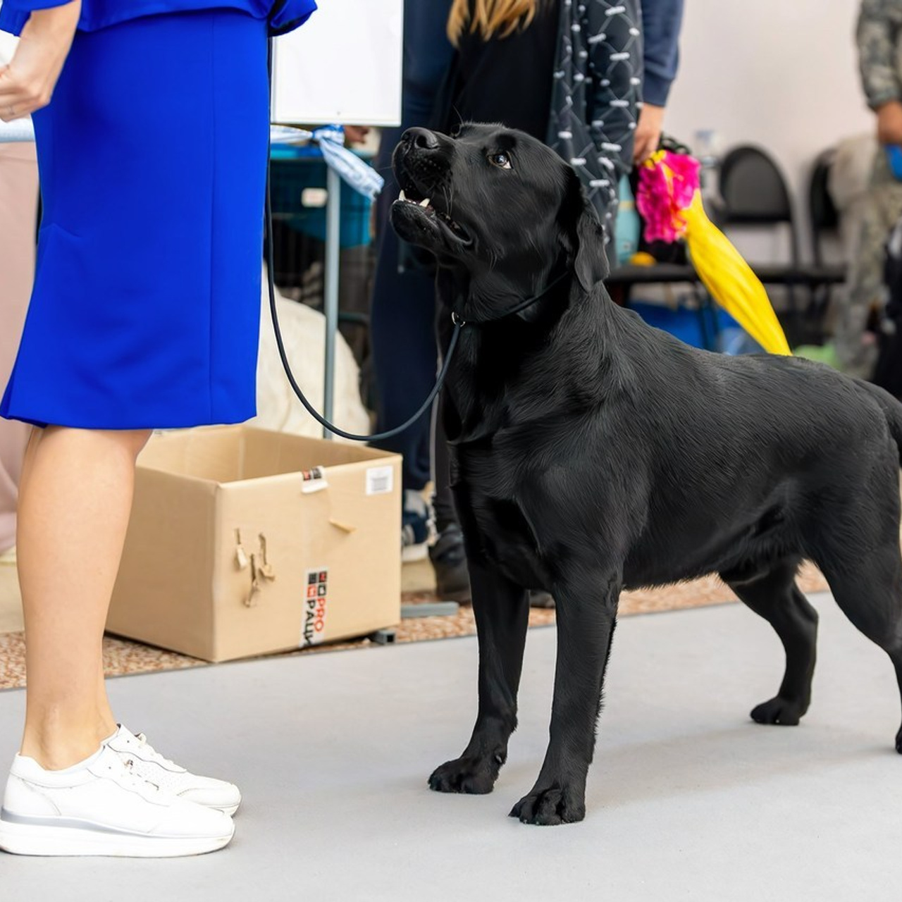 Отзывы. Htykk_photo