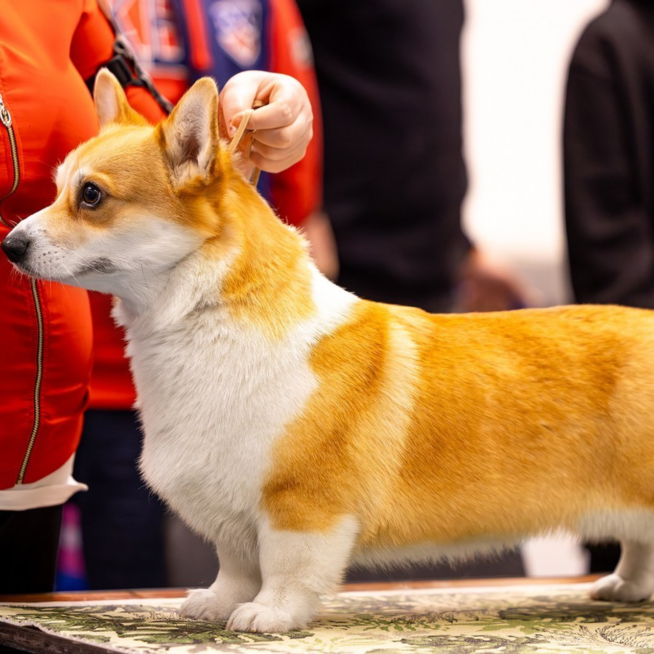 Отзывы. Htykk_photo