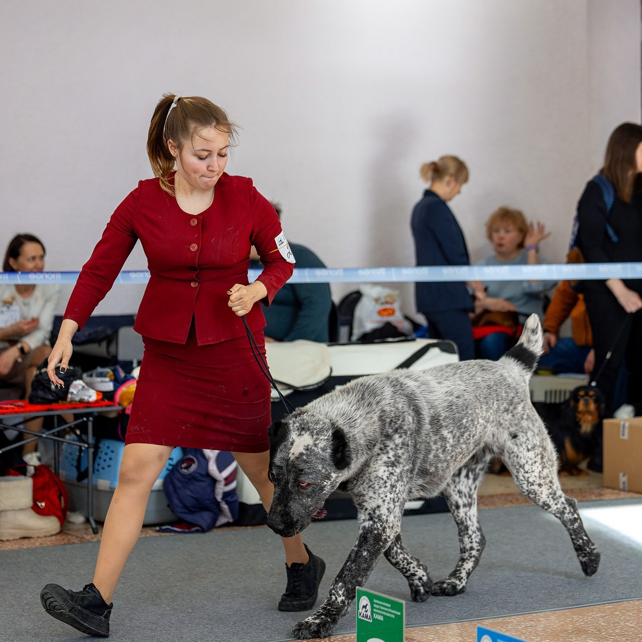 Отзывы. Htykk_photo