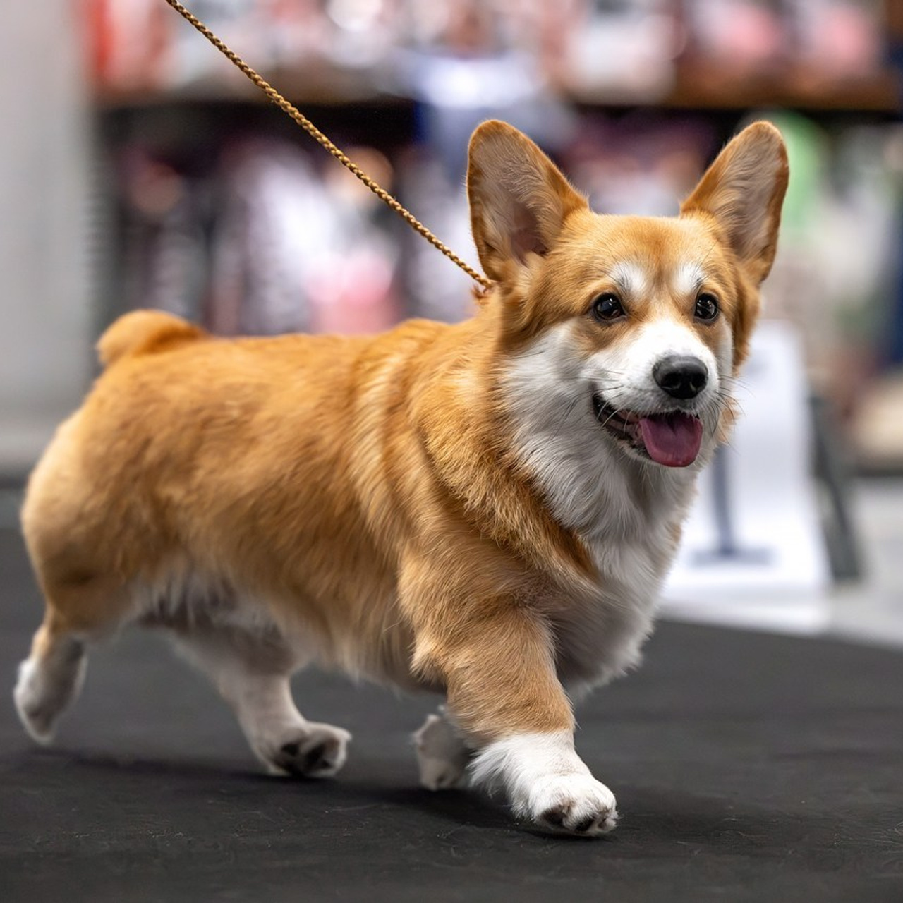 Отзывы. Htykk_photo