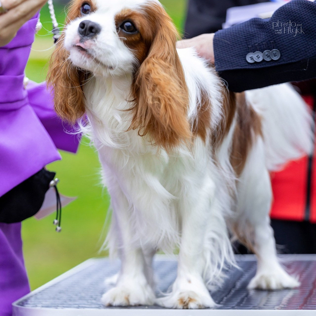 Отзывы. Htykk_photo