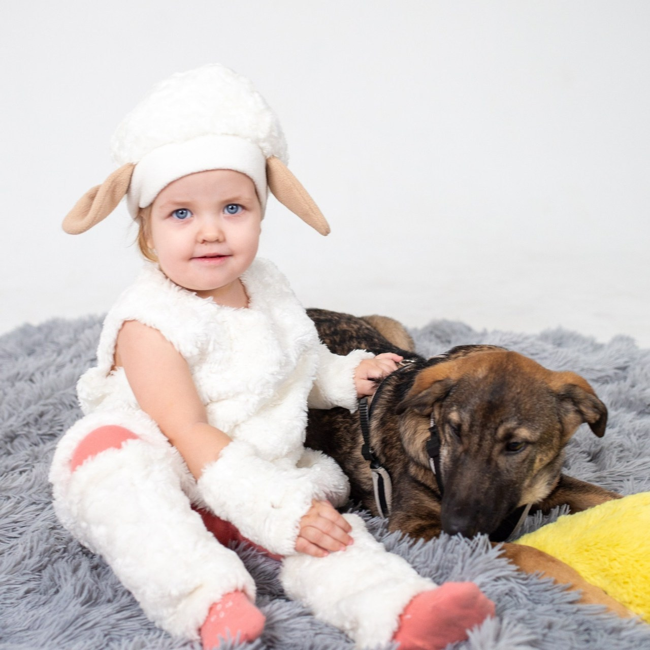 Отзывы, фотограф Anastasia Fly. Фотограф Анастасия Мухитдинова