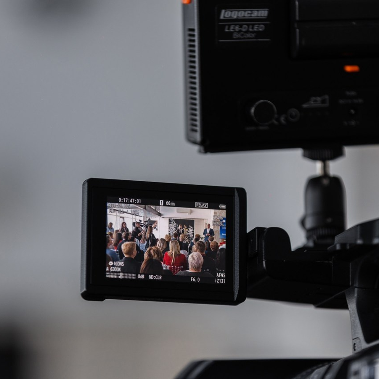 Фитбэки. Фотограф Маноли Мария