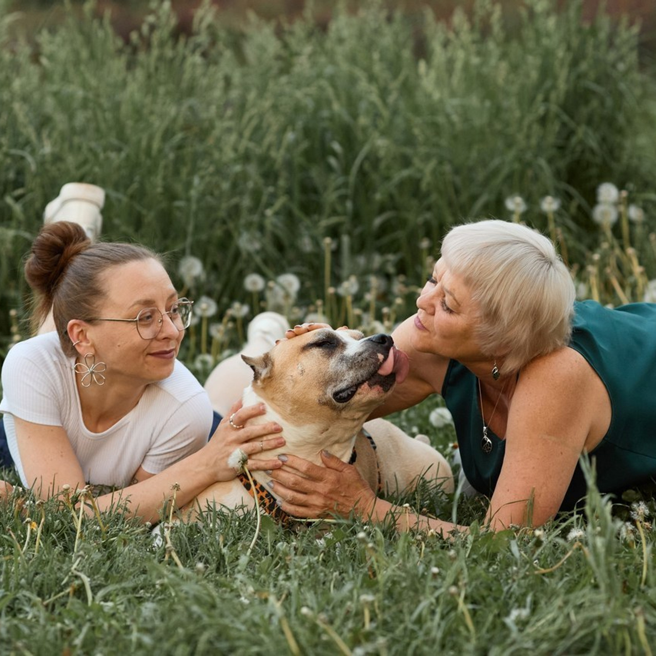 Отзывы. Фотограф-анималист Мартынова Анастасия