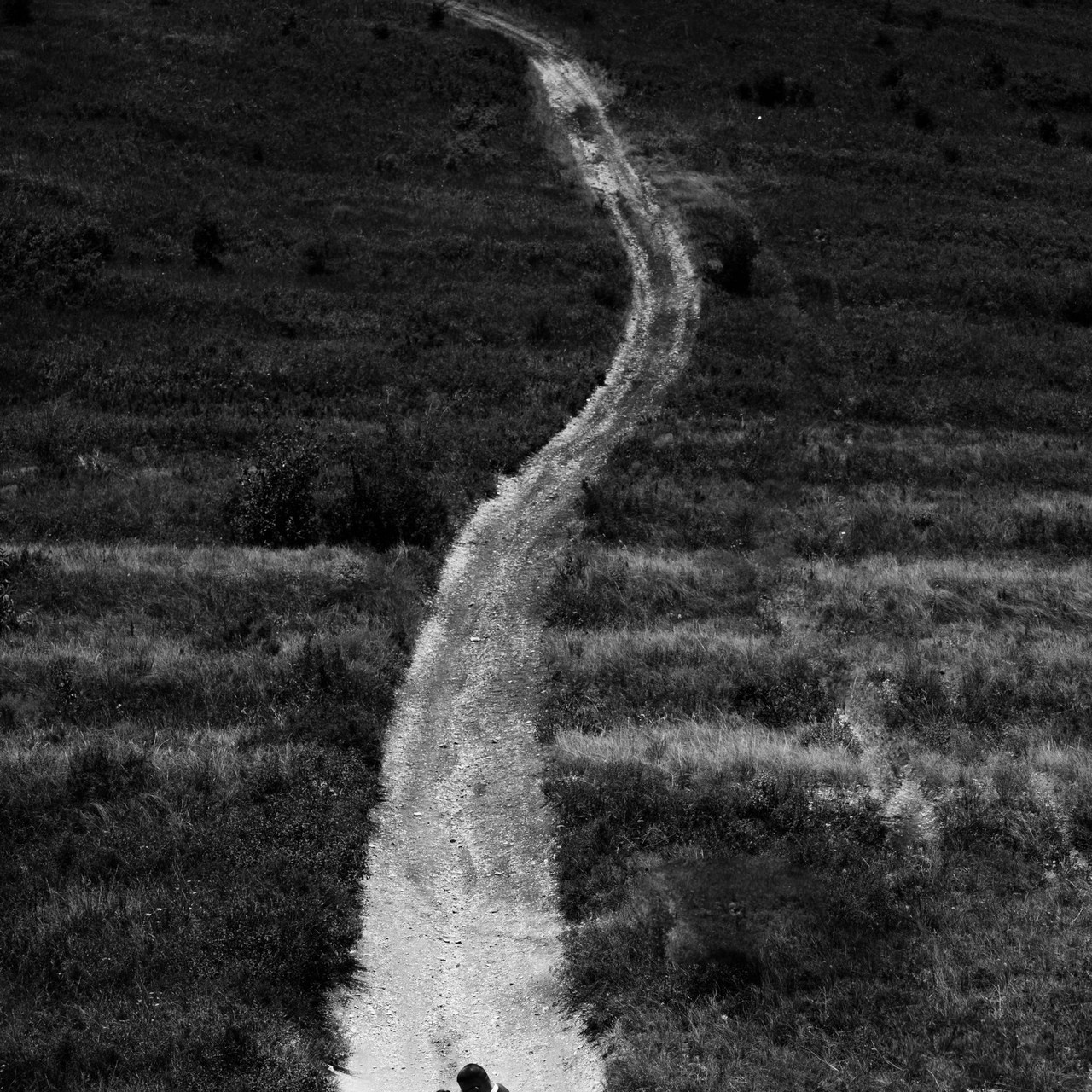 Отзывы. Фотограф Кочкаев Роман