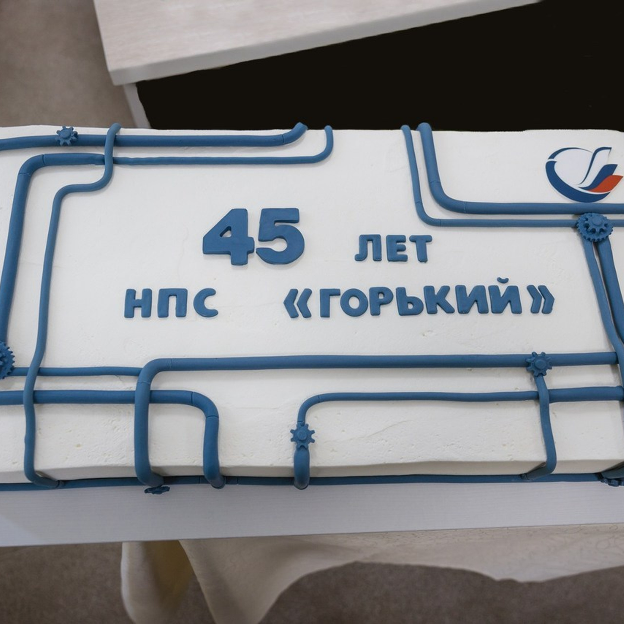 Отзывы о репортажном фотографе Екатерине Шугаевой (Shu)