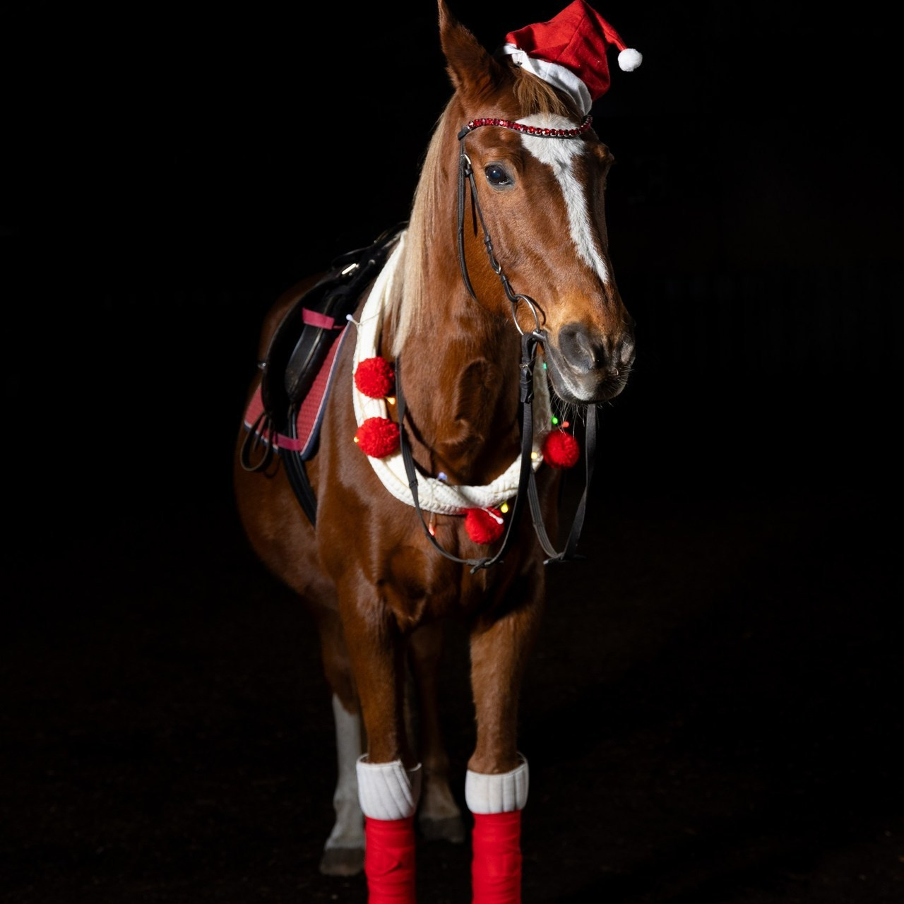 Сайт фотографа Ирины Аникановой